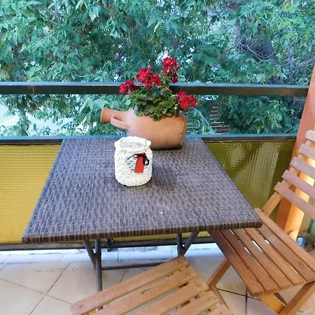 Tulipan Balatonalmádi